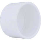 Charlotte Pipe 2-1/2 In. Schedule 40 Pressure Slip PVC Cap Image 1