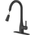 Home Impressions 1-Handle Pull-Down Kitchen Faucet, Matte Black Image 2