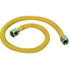 Eastman 3/8 In. OD x 48 In. Flexible Gas Connector Image 1