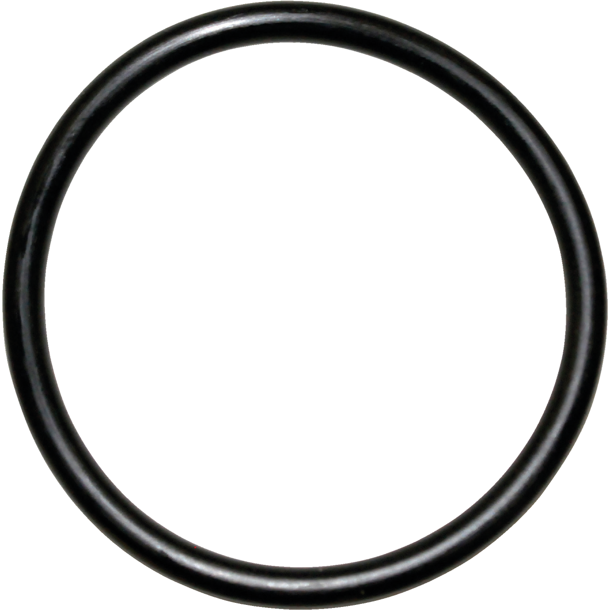 Danco #25 1-5/16 In. x 1-1/2 In. Buna-N O-Ring Image 1