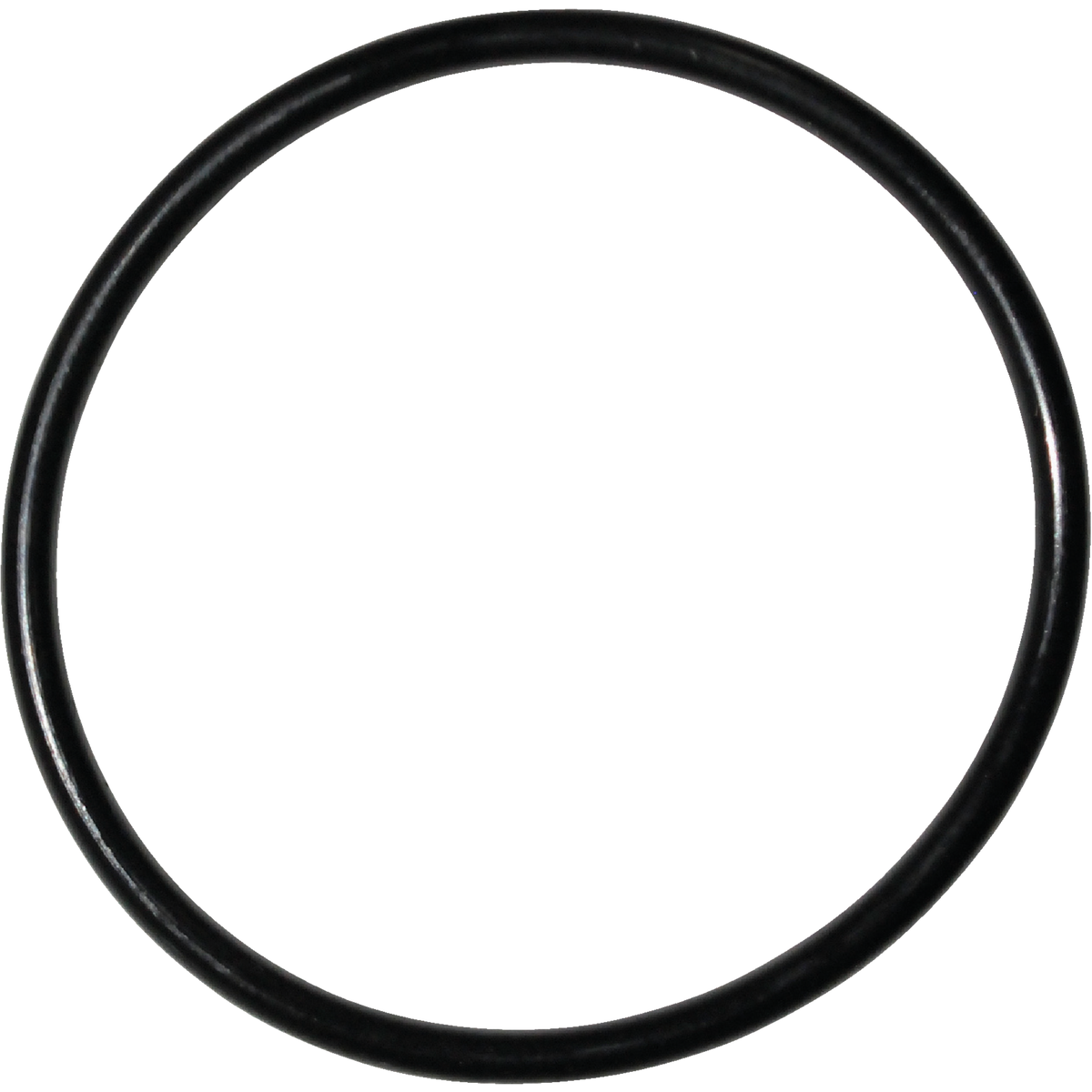 Danco #55 1-3/16 In. x 1-5/16 In. Buna-N O-Ring Image 1