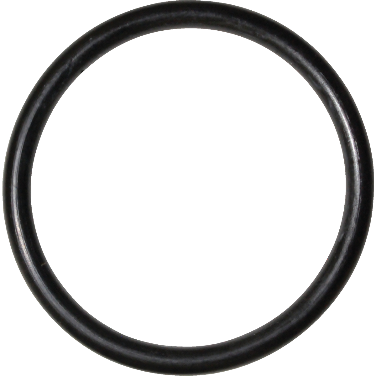 Danco #99 1-1/2 In. x 1-3/4 In. Buna-N O-Ring Image 1