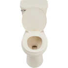 Common Goods Harbor Bone Round 1.28 GPF Toilet Image 5