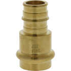 Nibco 3/4 In. Press x F1960 LF BR PEX Transition Fitting Image 1