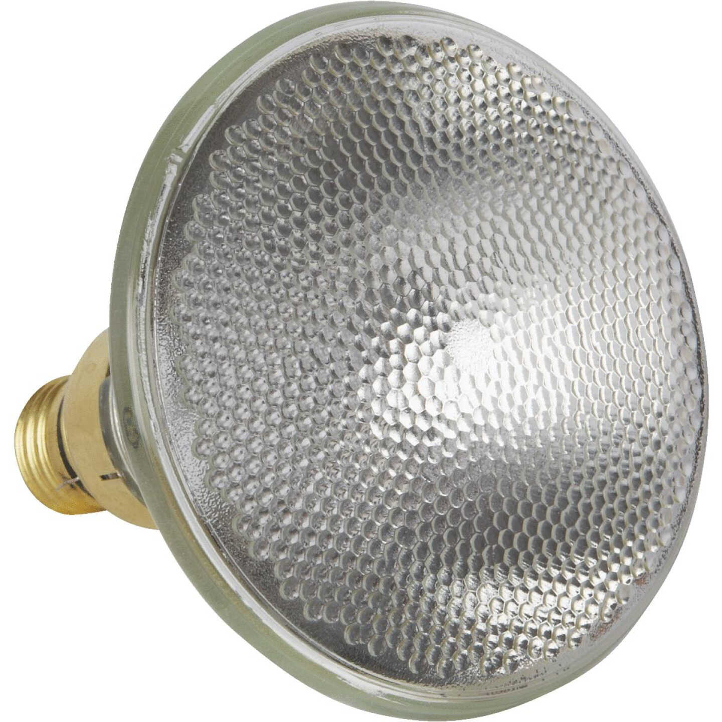 60W PAR FLD HALOGEN BULB Image 3