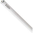 34W 4' T12 CW FLUOR TUBE Image 1