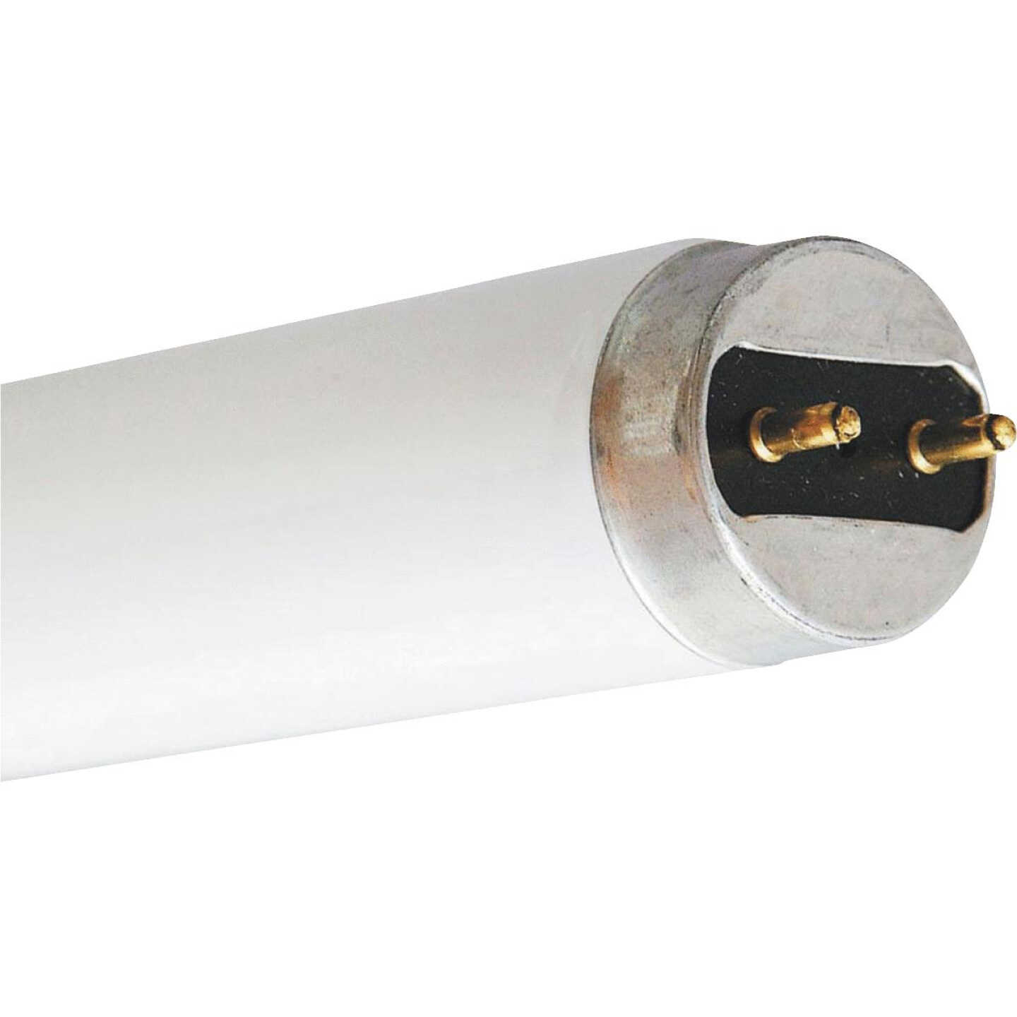 19W26"T8CW FLUOR TUBE Image 1
