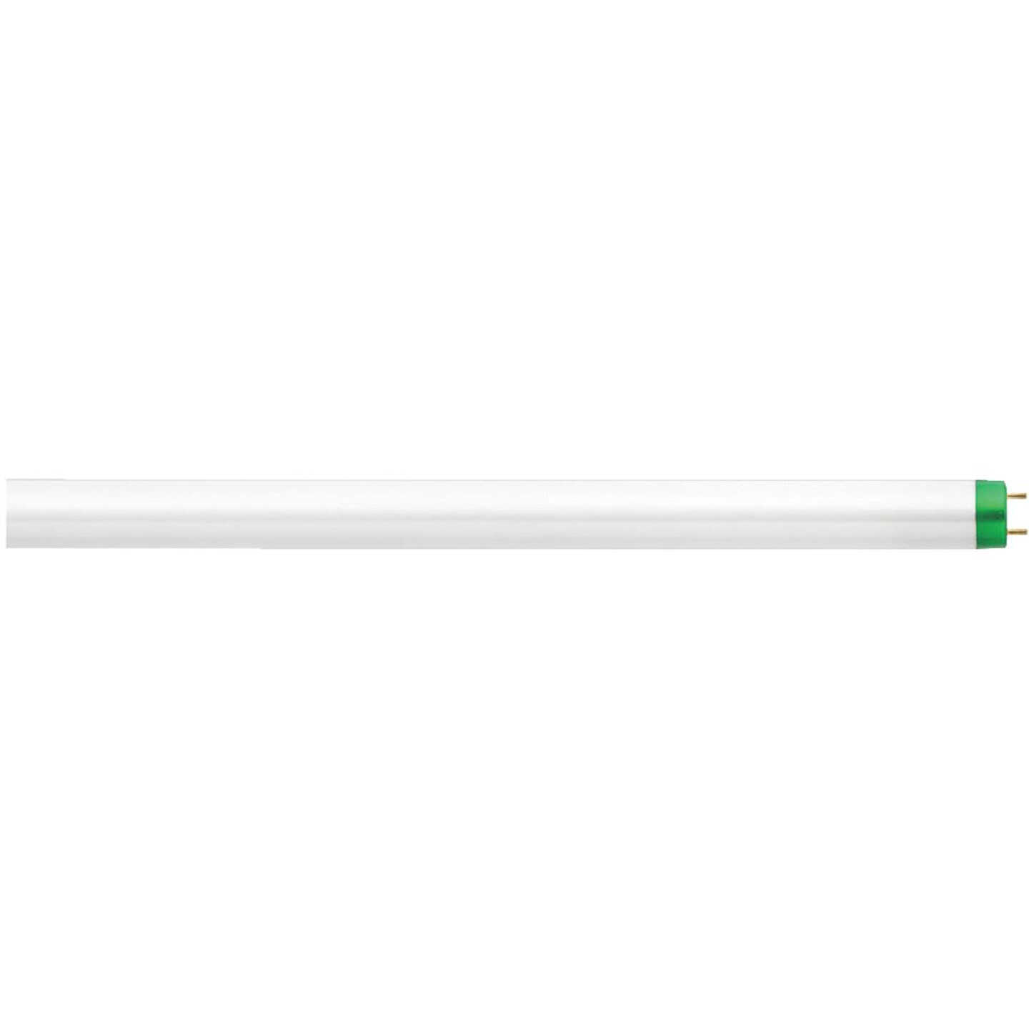 32W 4' T8 50K FLUOR TUBE Image 3