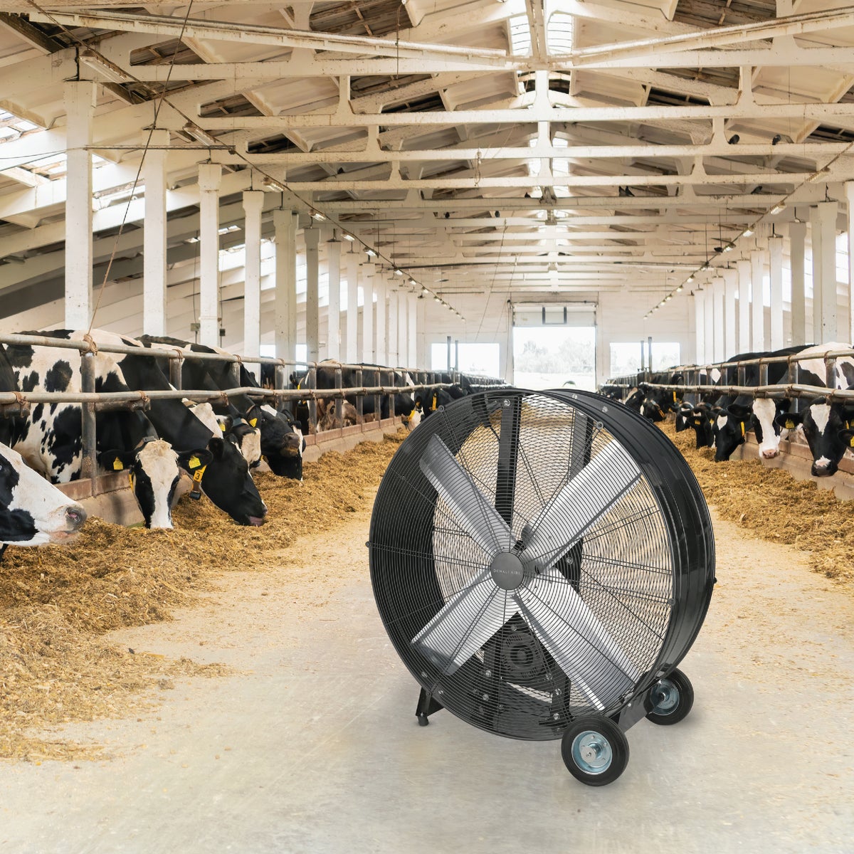 Denali Aire 36 In. 2-Speed High Velocity Black Belt Drive Drum Fan Image 2