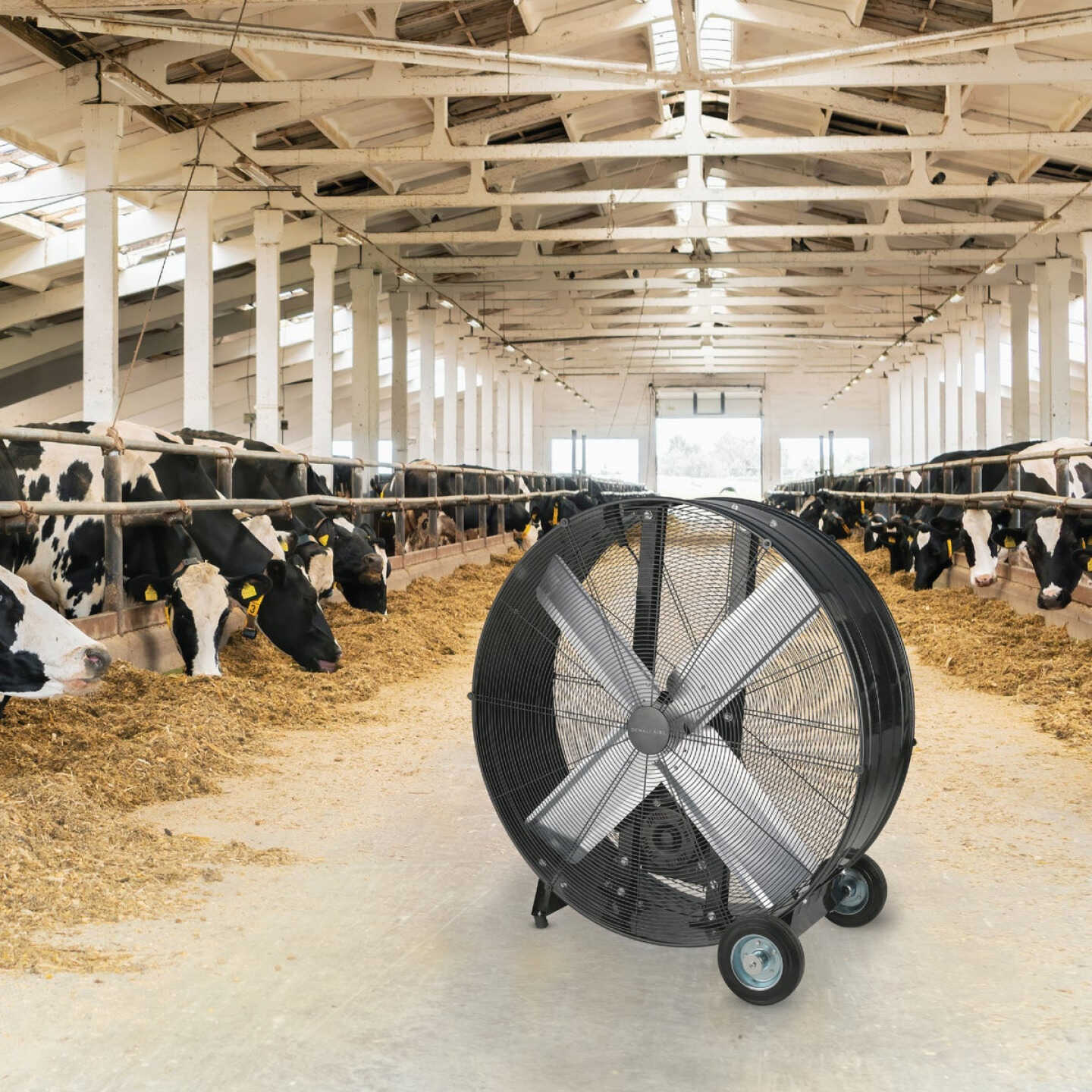 Denali Aire 36 In. 2-Speed High Velocity Black Belt Drive Drum Fan Image 2