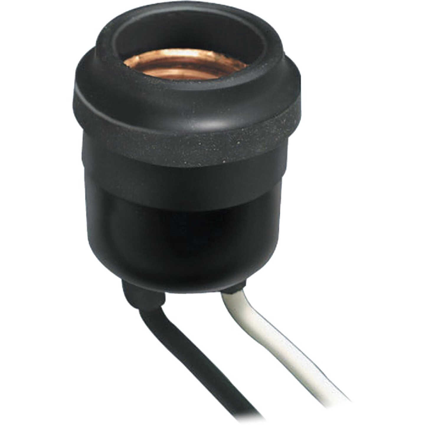 Leviton Weatherproof Medium Base Black Lamp Socket Image 1