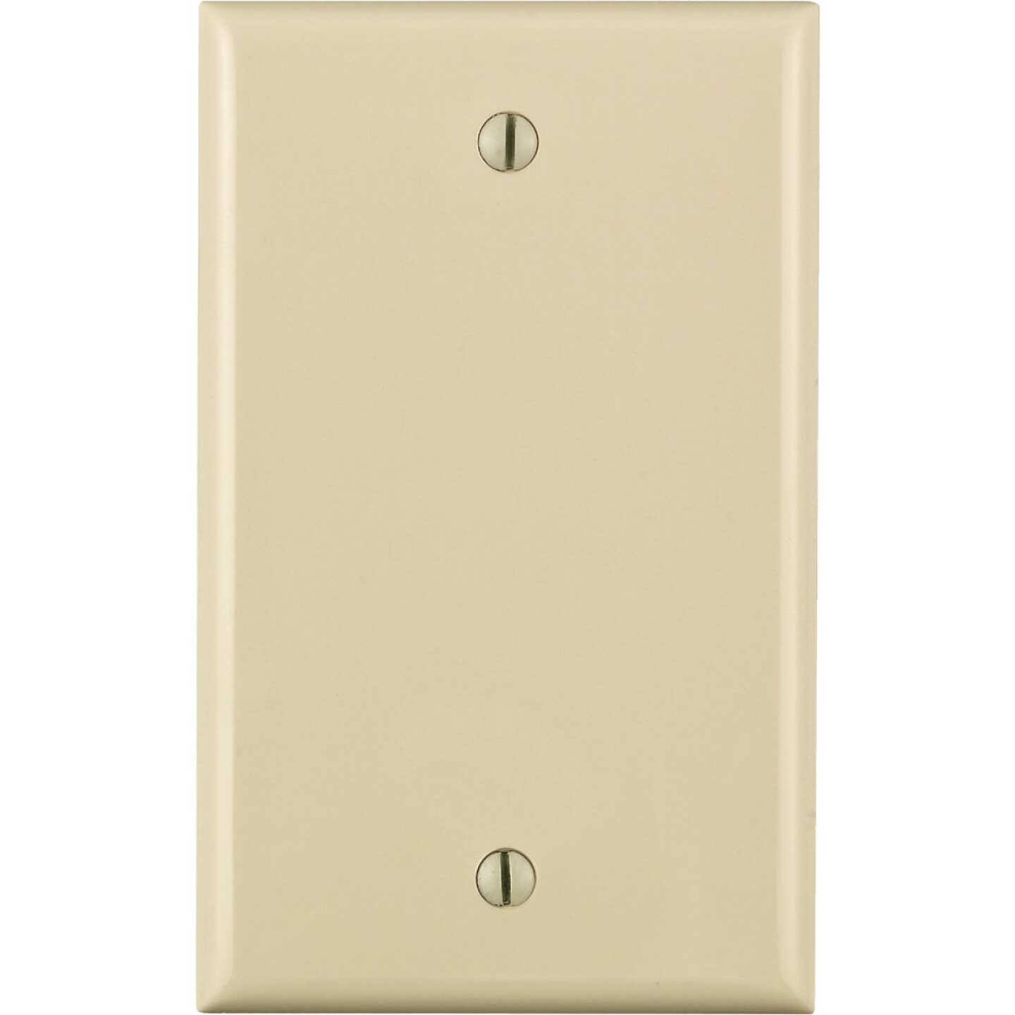 Leviton 1-Gang Standard Nylon Blank Wall Plate, Light Almond Image 1