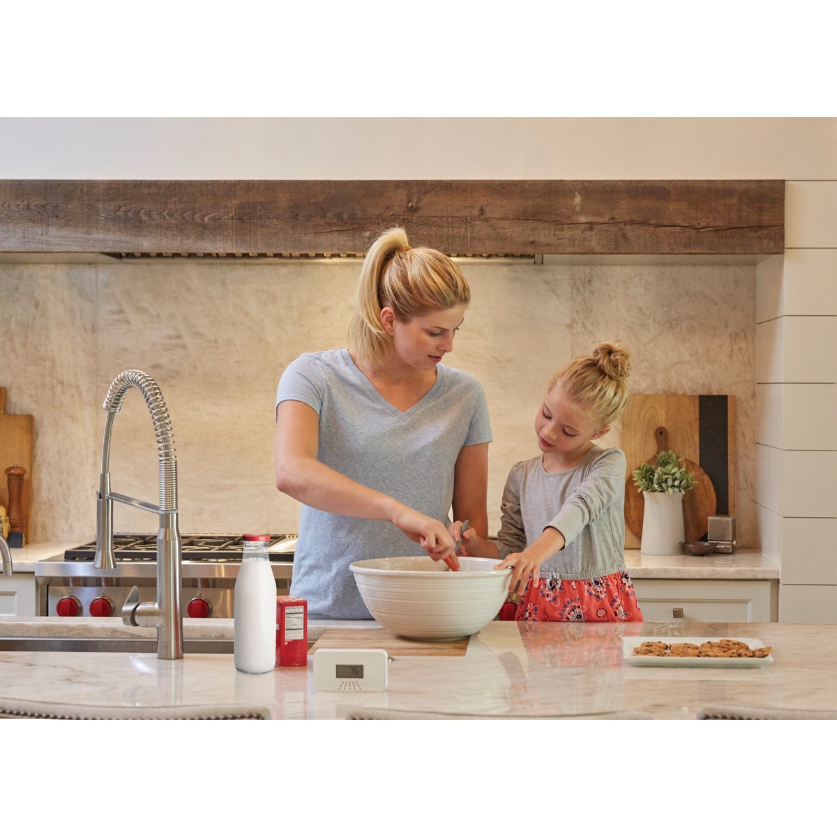 First Alert CO710 10-Year Battery Electrochemical Multi Function Carbon Monoxide Alarm Image 4