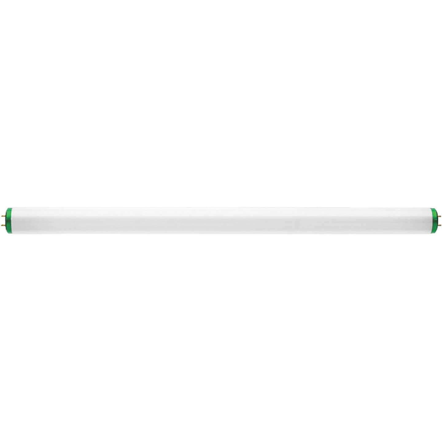 20W 24" T12CW FLUOR TUBE Image 4