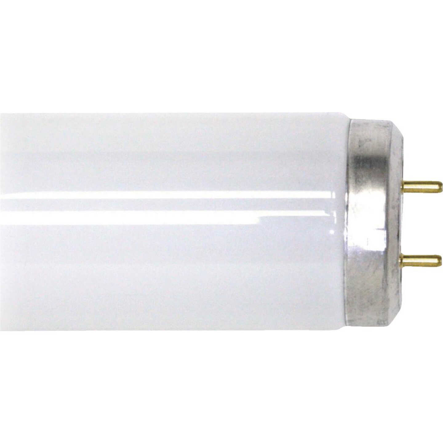 25W 33" T12CW FLUOR TUBE Image 1