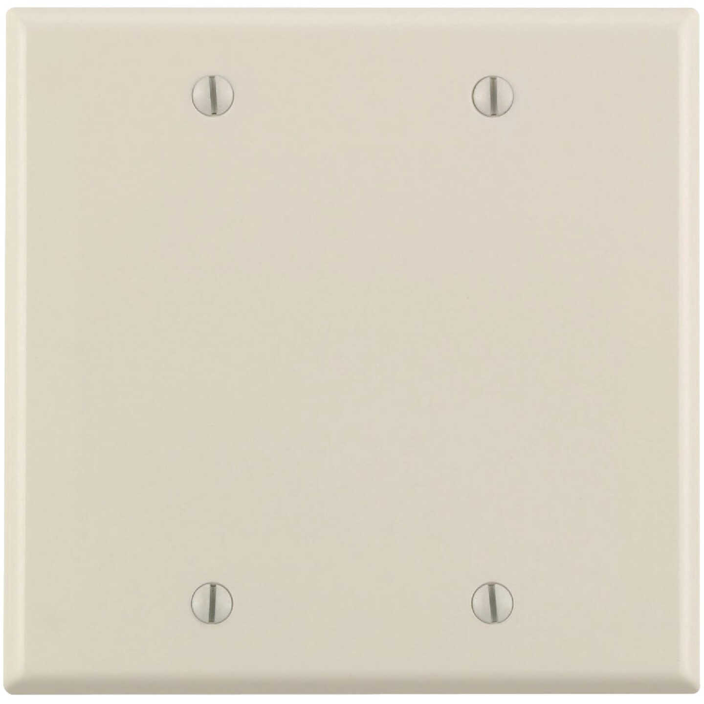 Leviton 2-Gang Standard Thermoset Blank Wall Plate, Light Almond Image 1