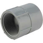 Carlon 1-1/4 In. Female Threaded & Socket PVC Conduit Female Adapter Image 1