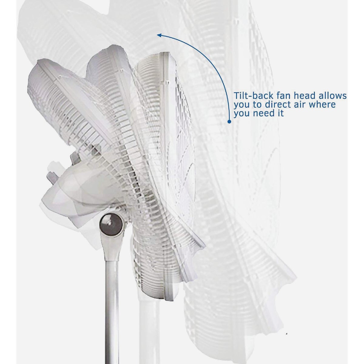 Lasko 16 In. White Pedestal Fan Image 4