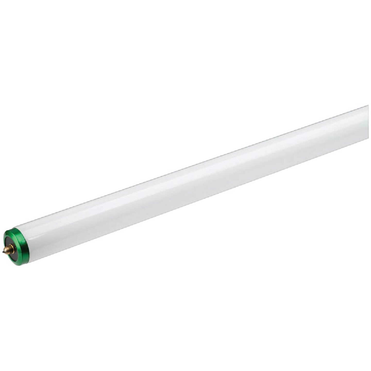 Philips ALTO 60W 96 In. Daylight Deluxe T12 Single Pin Fluorescent Tube Light Bulb (2-Pack) Image 1