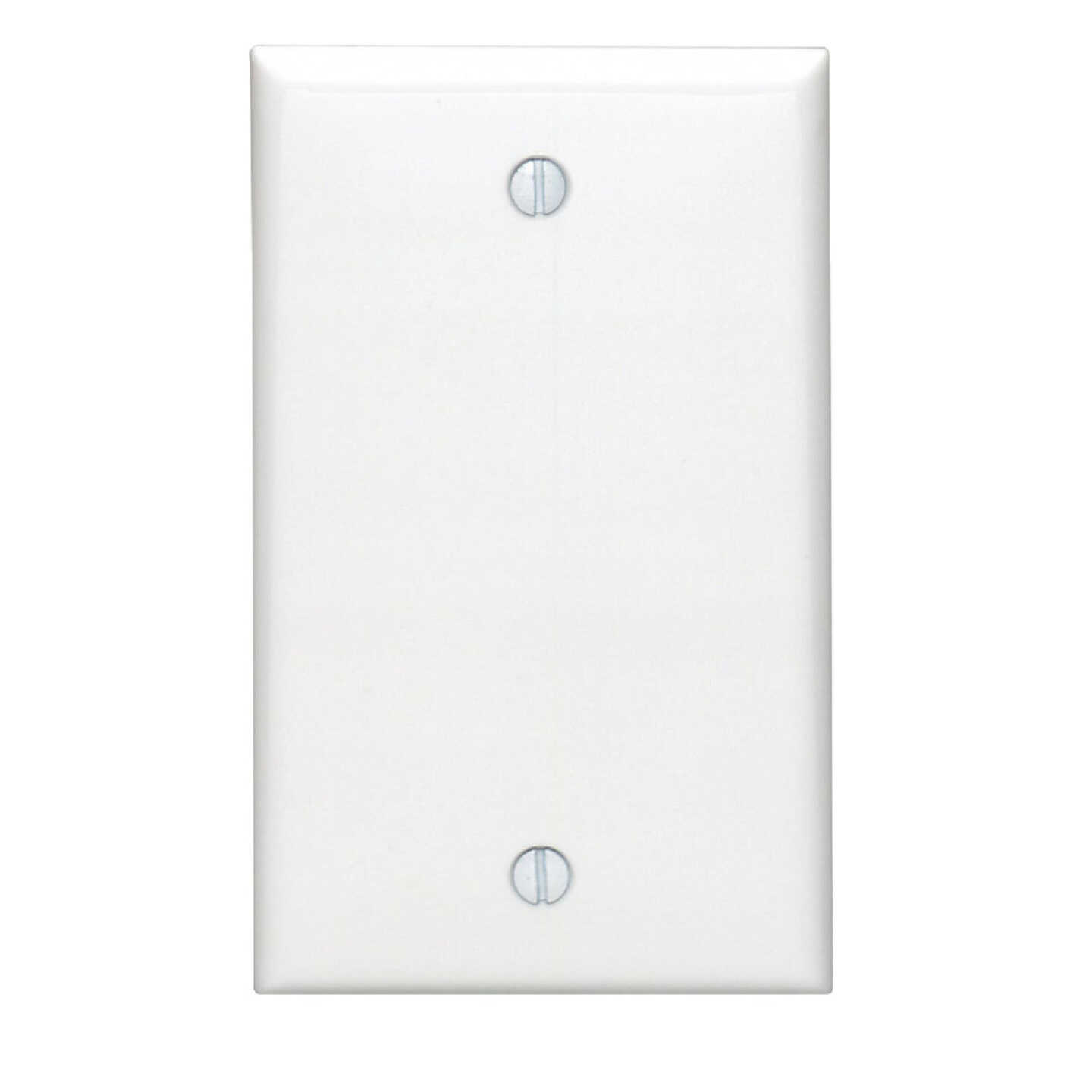 Leviton 1-Gang Standard Nylon Blank Wall Plate, White Image 1