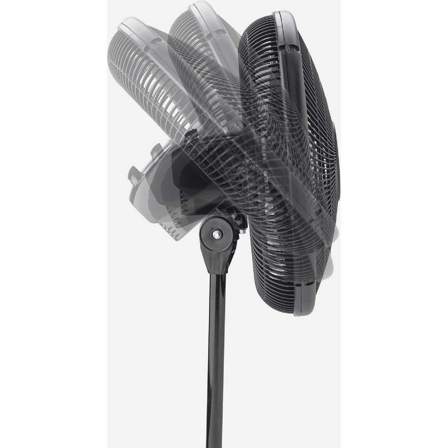 Lasko 16 In. Black Pedestal Fan Image 2