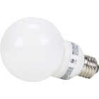 11W CFL GLOBE BULB Image 2