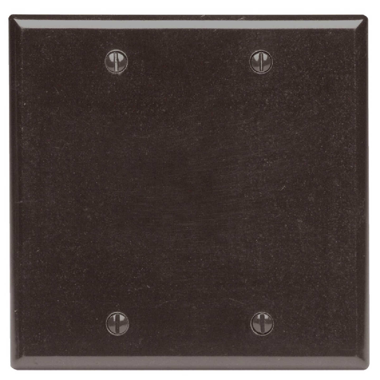 Leviton 2-Gang Standard Thermoset Blank Wall Plate, Brown Image 1