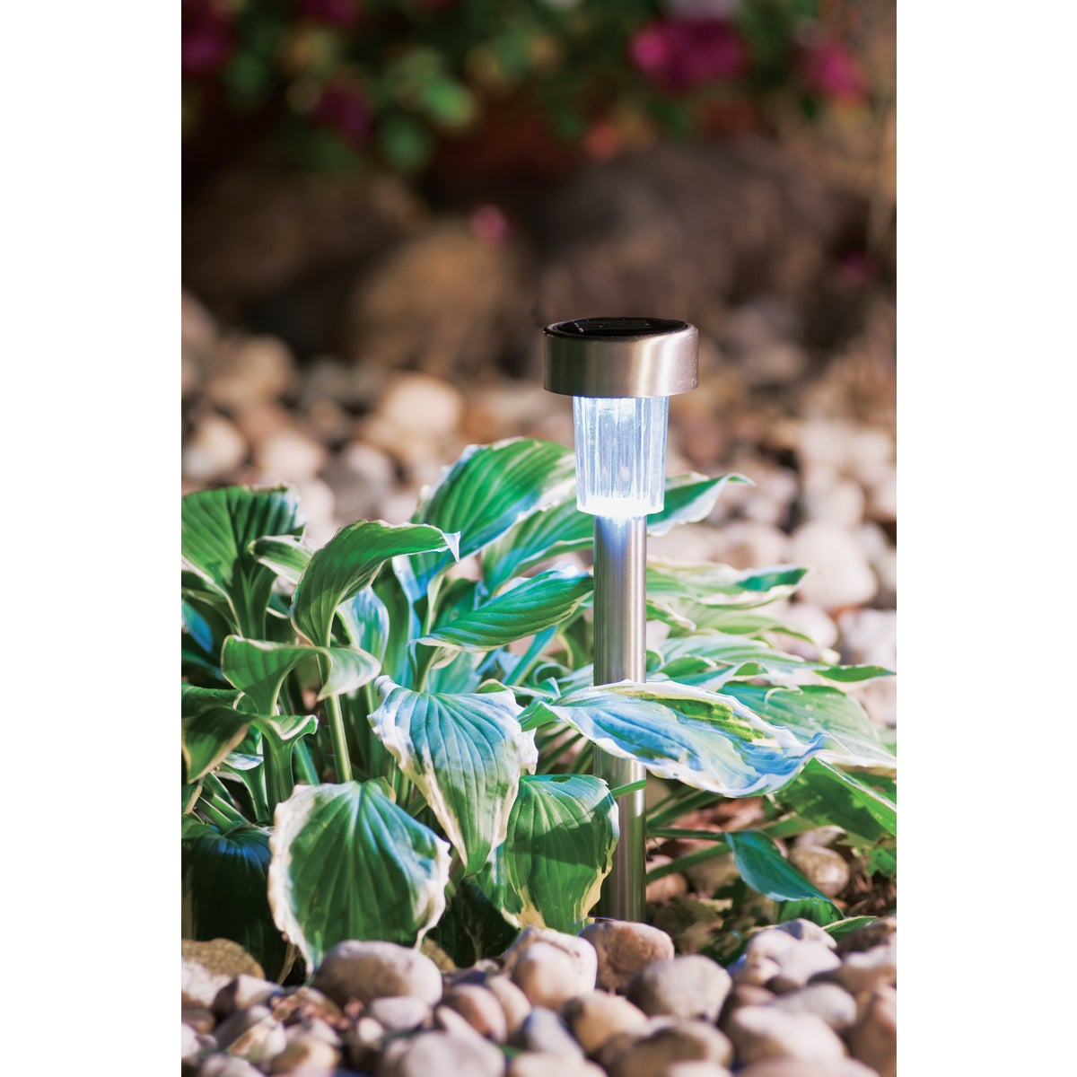 Outdoor Expressions Stainless Steel 2.10 Lumens Metal Mini Solar Path Light Image 2