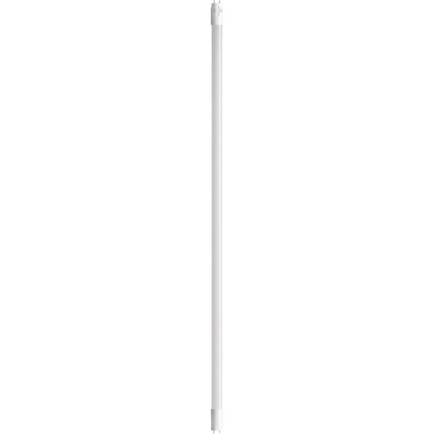 Satco 32W Equivalent 48 In. 4000K/5000K/6500K Medium Bi-Pin Ballast Compatible LED Tube Light Bulb (2-Pack) Image 1