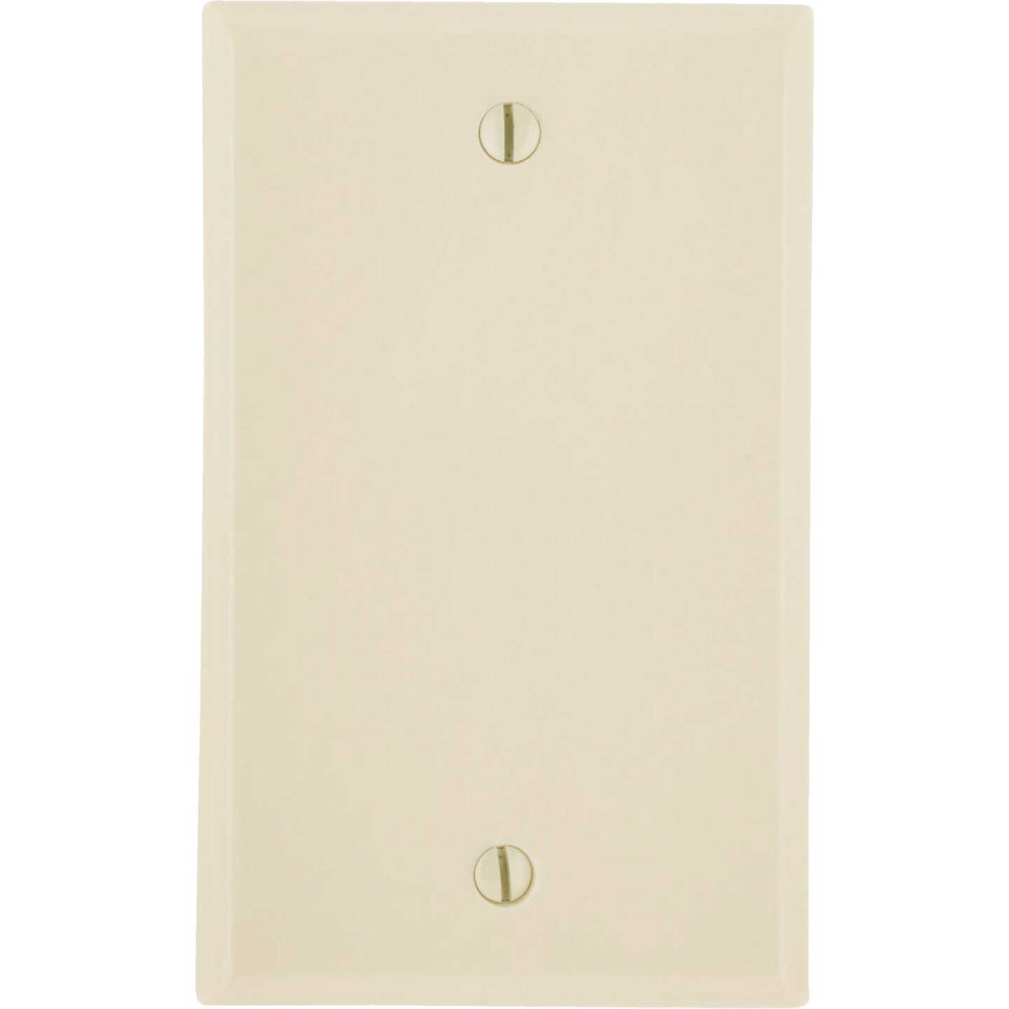 Leviton 1-Gang Standard Thermoset Blank Wall Plate, Ivory Image 1