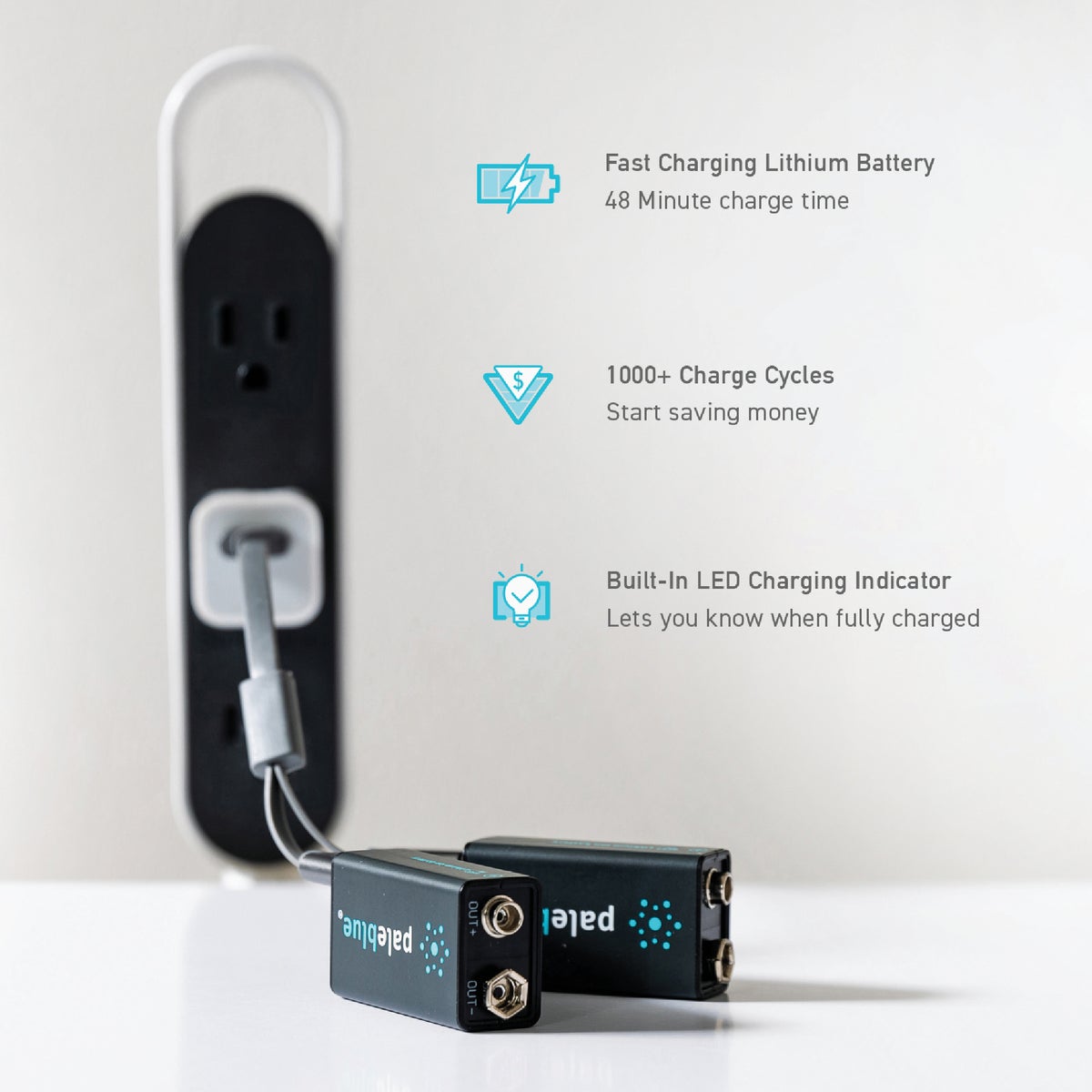 Paleblue 9V Lithium-Ion Rechargeable Battery (2-Pack) Image 3