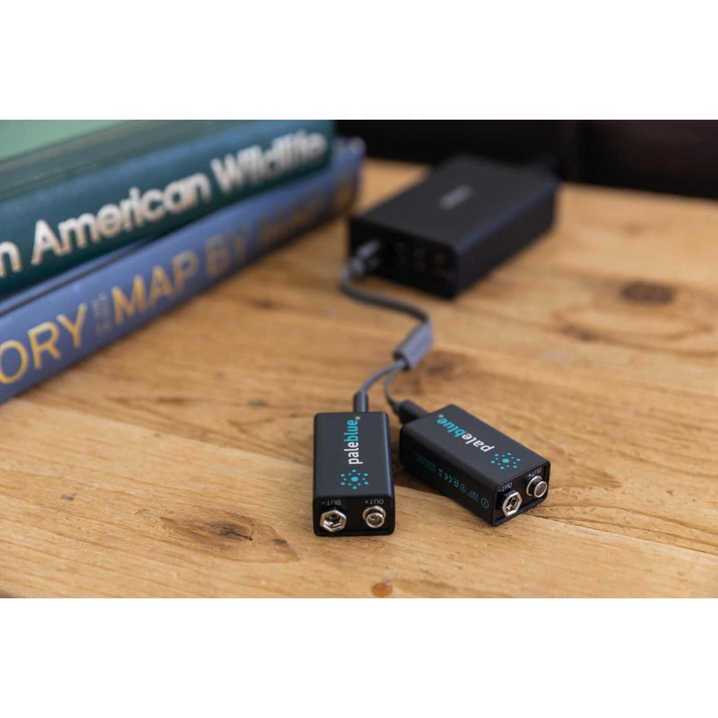 Paleblue 9V Lithium-Ion Rechargeable Battery (2-Pack) Image 2