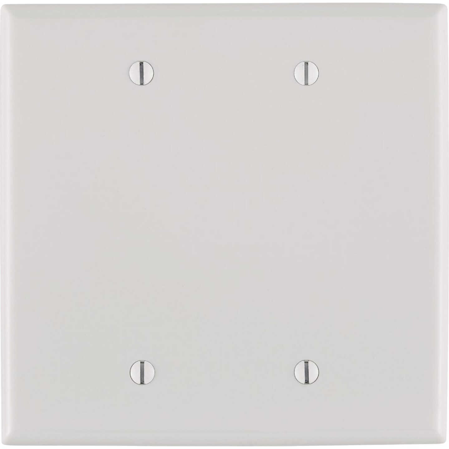 Leviton 2-Gang Mid-Way Thermoplastic Nylon Blank Wall Plate, White Image 1