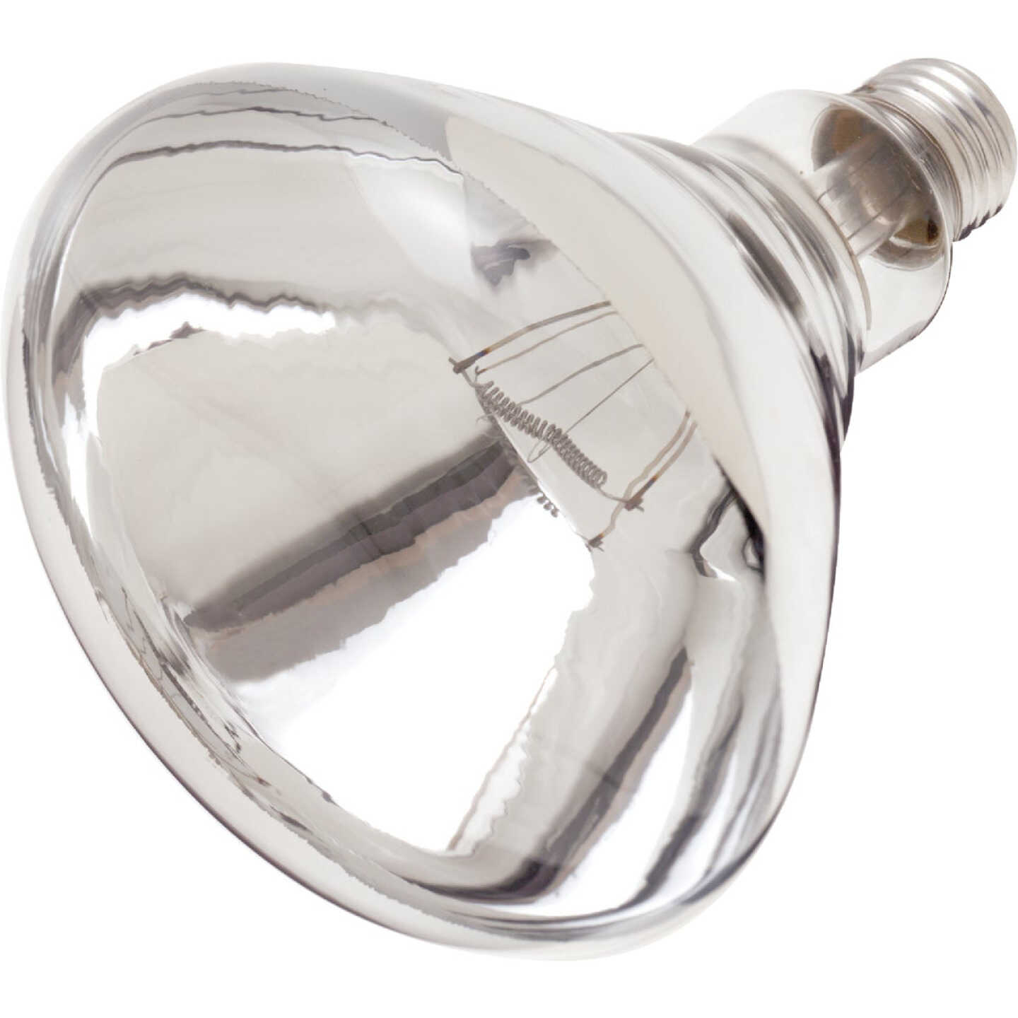 Satco 250W Clear Medium Base R40 Incandescent Heat Light Bulb Image 1