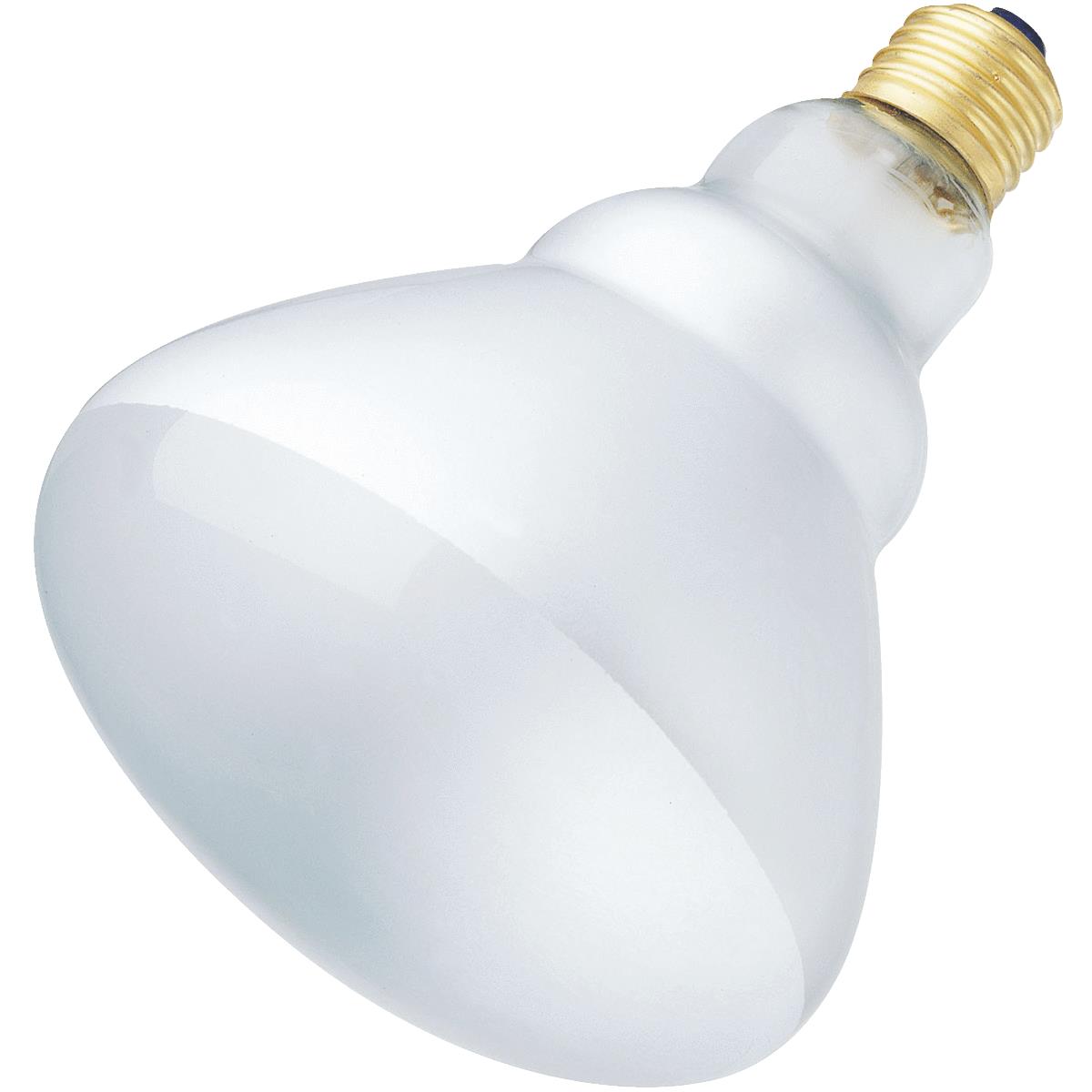 65W REFLECTOR FLOOD BULB