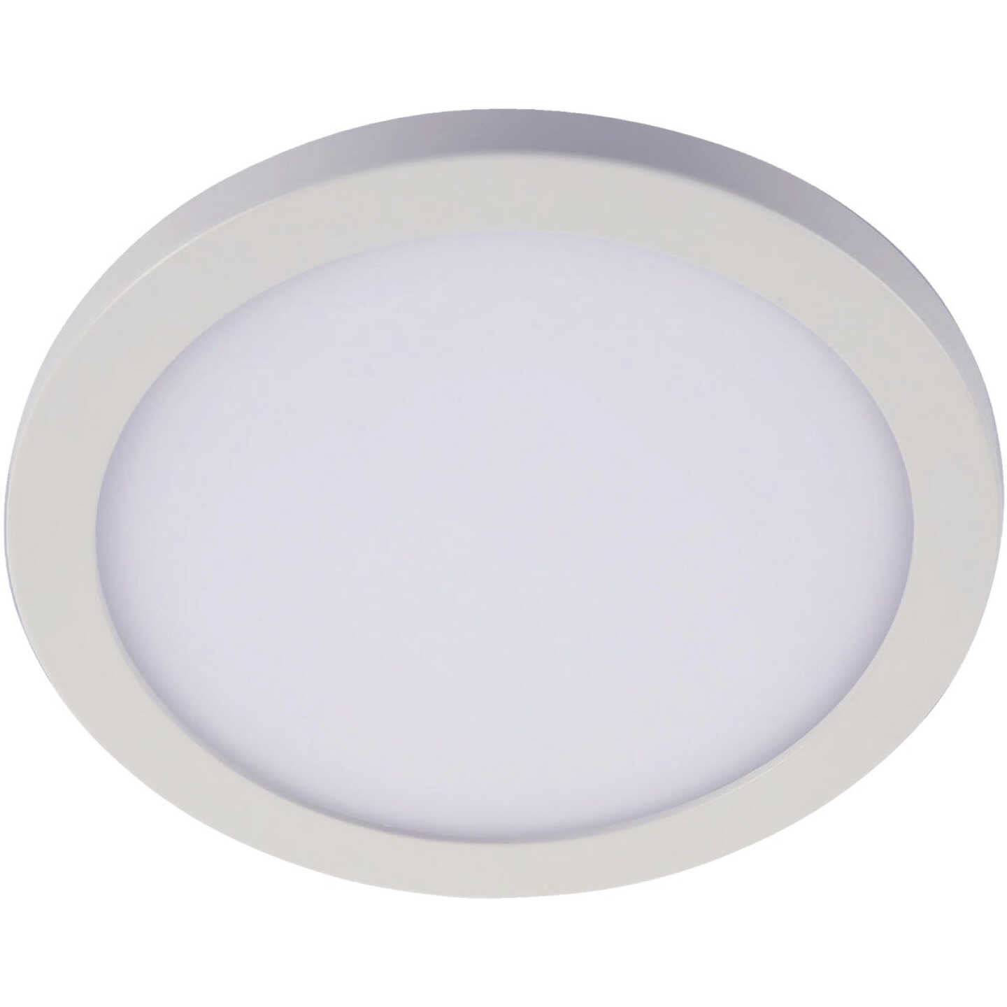 Halo 6 In. CCT Round Surface Mount LED Downlight Image 1