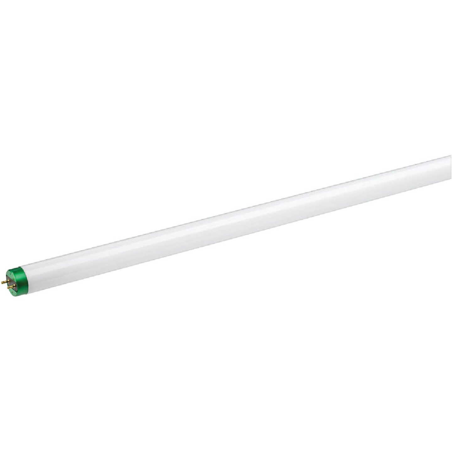 Philips 32W 48 In. Daylight T8 Medium Bi-Pin Fluorescent Tube Light Bulb (2-Pack) Image 3