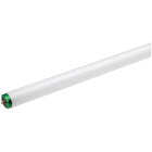 Philips 75W 96 In. Cool White T12 Single Pin Fluorescent Tube Light Bulb (2-Pack) Image 1