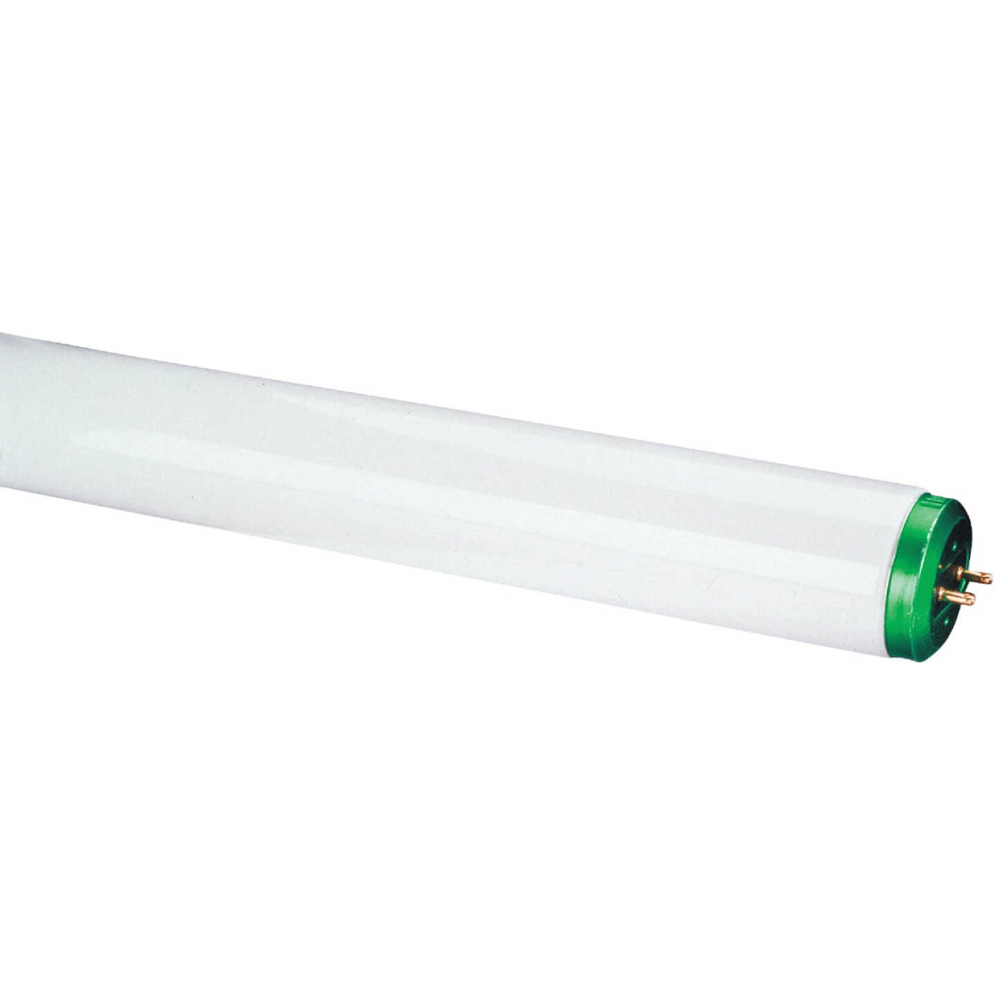 Philips InstantFit 40W Equivalent 48 In. Cool White T12 Bi-Pin LED Tube Light Bulb Image 1