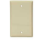 IV BLANK WALL PLATE Image 1