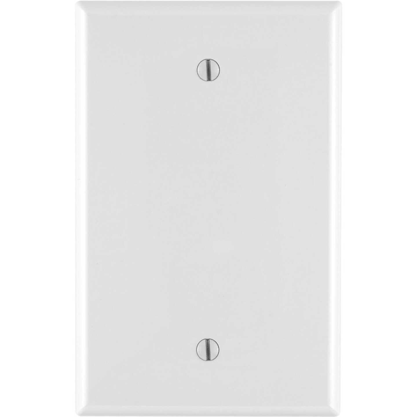 Leviton 1-Gang Mid-Way Thermoplastic Nylon Blank Wall Plate, White Image 1