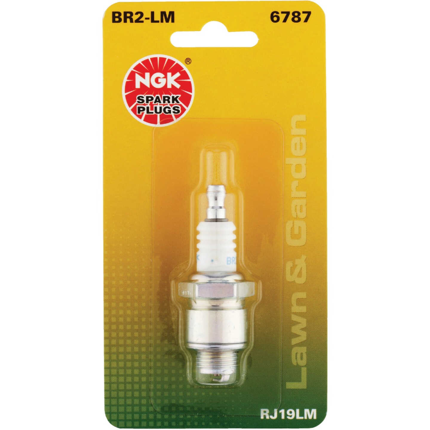 NGK BR2-LM BLYB Lawn and Garden Spark Plug Image 2