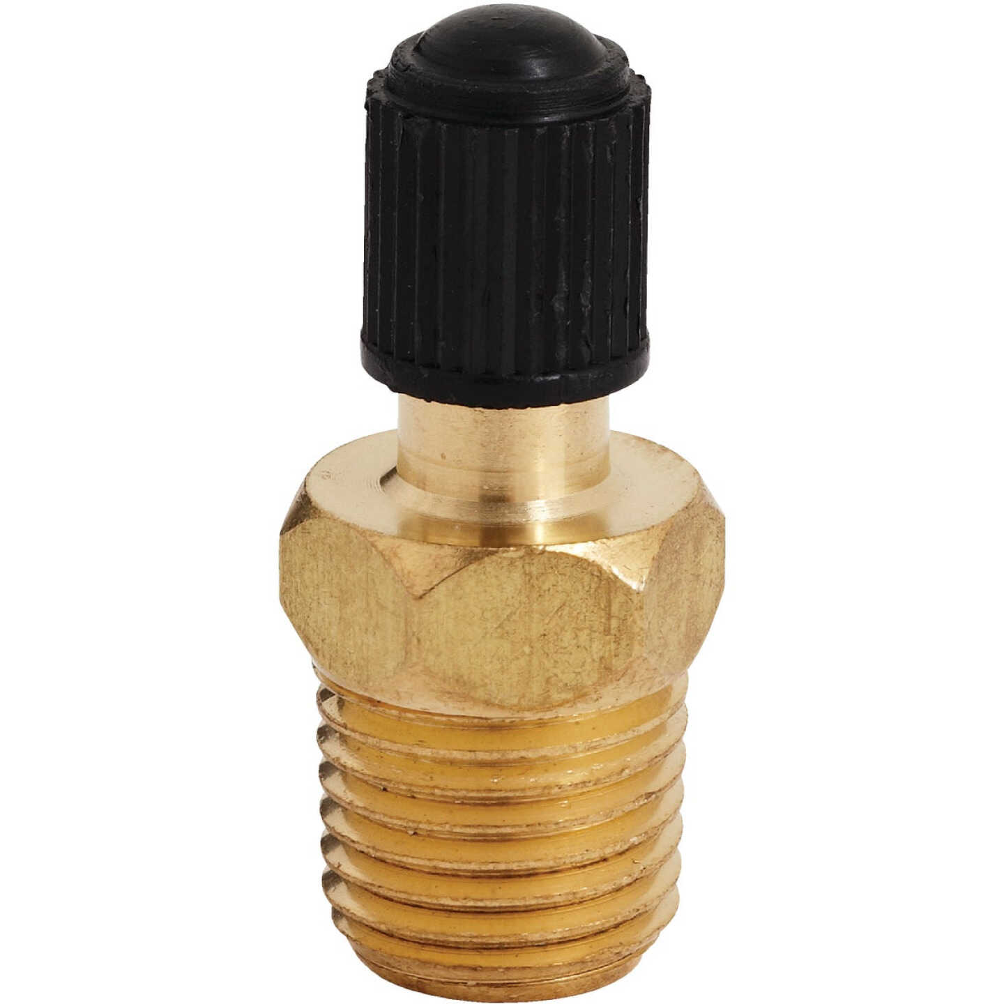 Milton 1/4 In. Male NPT Tank Valve Image 1