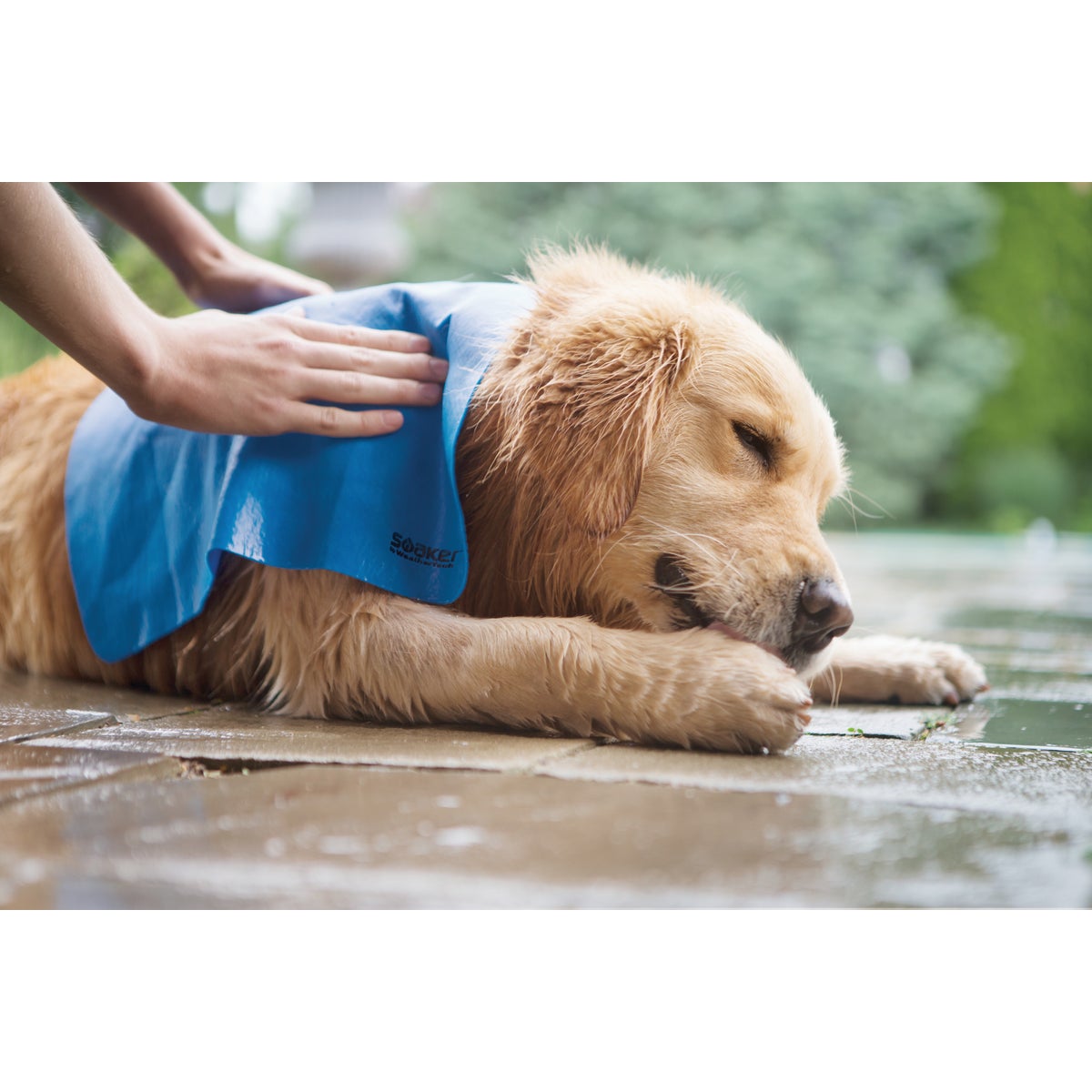 WeatherTech Soaker 17 In. W x 27 In. L Detailing Towel Image 5