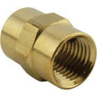 Milton Hex 1/4 In. FPT Brass Hex Coupler Image 1