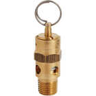 Milton 1/4 In. MNPT 125 psi Safety Valve Image 1