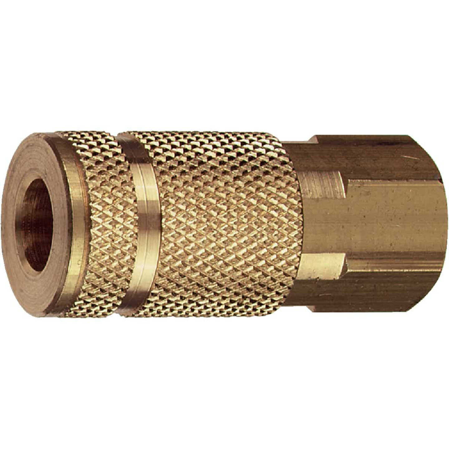 Tru-Flate ARO Series Push-to-Connect 1/4 In. FNPT Coupler Image 1