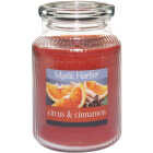 LRG CITRUS&CINAMN CANDLE Image 1