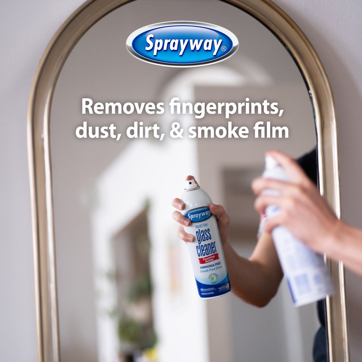 Sprayway 19 Oz. Aerosol Spray Glass & Surface Cleaner Image 3