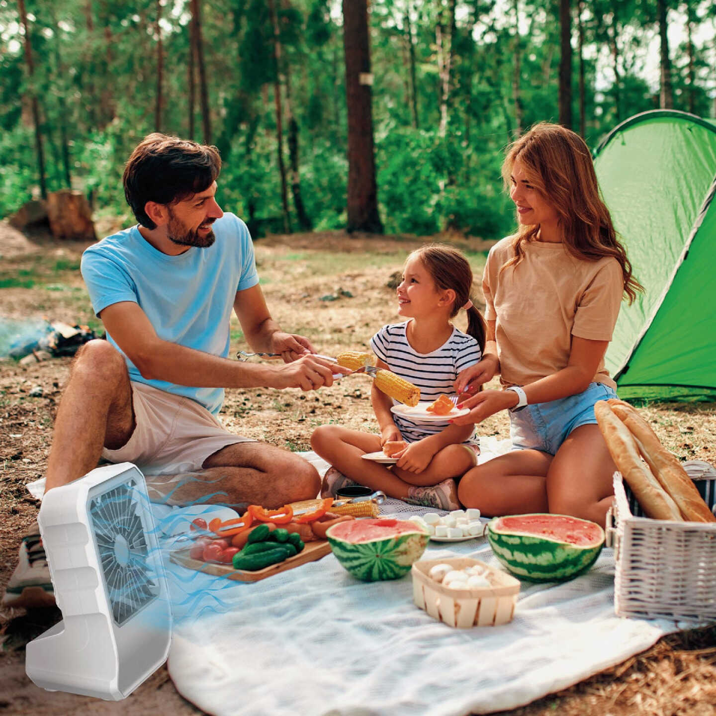 Arctic Air Evaporative Outdoor Air Cooler Image 3